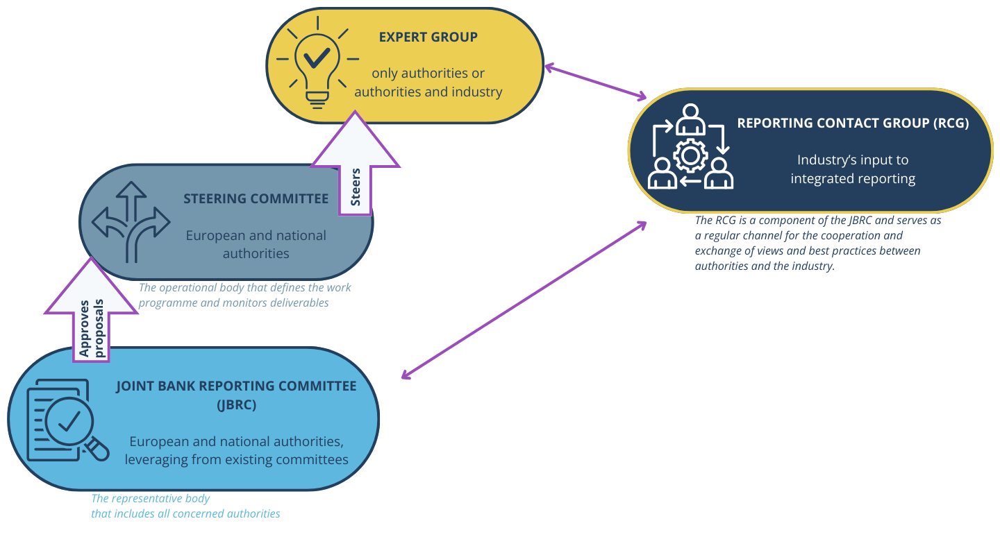 governance of the integrated reporting system